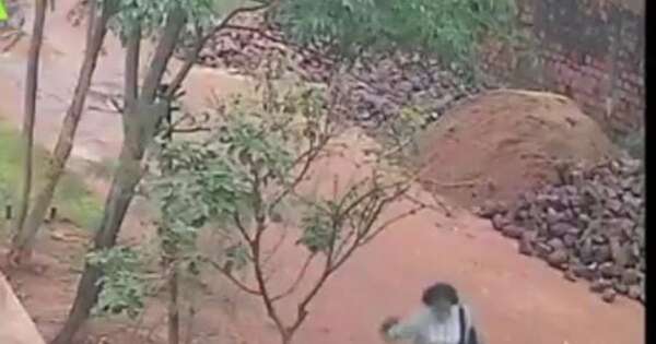 La Nación / Detienen a una joven que se hacía pasar por recicladora para robar