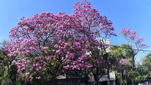 Viernes con ambiente cálido a caluroso y cielo parcialmente nublado