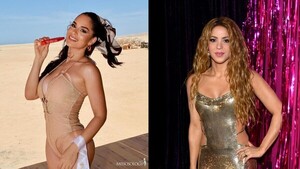 Fans de Shakira declaran la guerra a Fabi Martínez