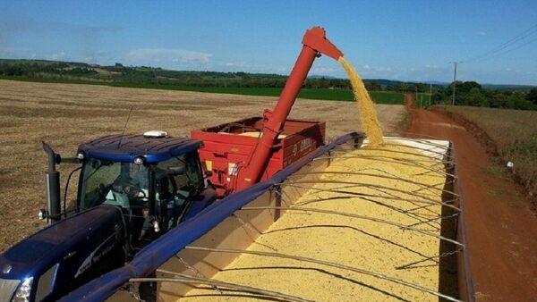Comercio exterior cerró semestre con déficit de USD 697,9 millones
