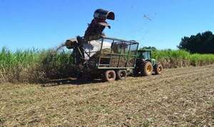Azucareros paraguayos temen que libre comercio en el Mercosur destruya el mercado nacional  - Nacionales - ABC Color