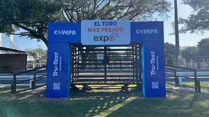 Covepa premiará con un bastón Tru-Test al toro más pesado de la Expo Py 2025
