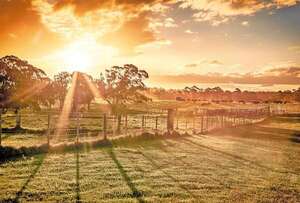 Liderar en el campo: oficios, desafíos y gratitudes - ABC Rural - ABC Color