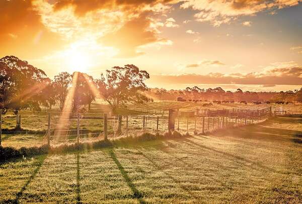 Liderar en el campo: oficios, desafíos y gratitudes - ABC Rural - ABC Color