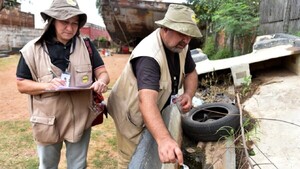 Dengue: Registran más de 200 notificaciones por semana