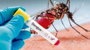 Dengue: síntomas, riesgos y cómo protegerte en casa