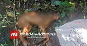 GENERAL DELGADO: INVESTIGAN LA MUERTE DE UN CACHORRO Y POSIBLE MALTRATO