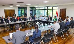 Consejo de Seguridad Social se reunió con representantes de las diferentes cajas jubilatorias - Economía - ABC Color