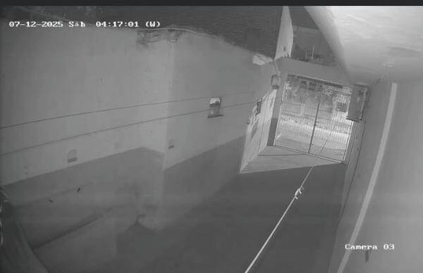 [VÍDEO] Subió al techo de una capilla, dio un paso en falso ¡y falleció en el acto!