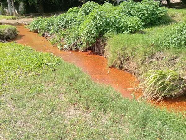 Reportan extraño color naranja en arroyo de Asunción - Nacionales - ABC Color