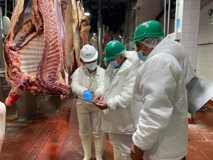 Paraguay debe priorizar la eficiencia y la consistencia para fortalecer sus mercados cárnicos