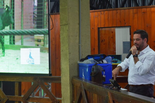 Bangor remata 700 vacunos de Regional Cordillera en Expo Py, este lunes