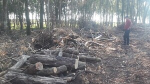 Detienen a brasilero por delitos contra el medio ambiente en La Paloma