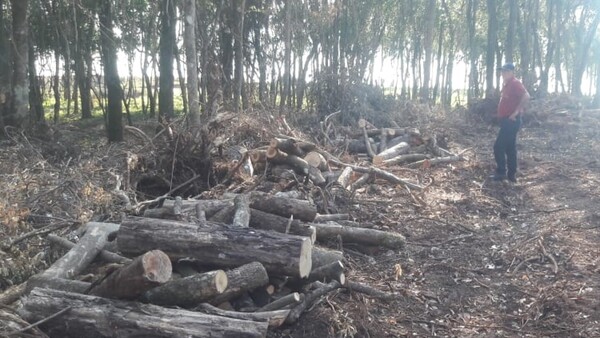 Detienen a brasilero por delitos contra el medio ambiente en La Paloma