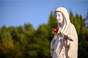 Día de la Rosa Mística: Historia y mensajes de una devoción mariana » San Lorenzo PY