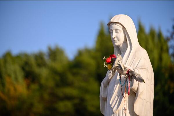 Día de la Rosa Mística: Historia y mensajes de una devoción mariana » San Lorenzo PY