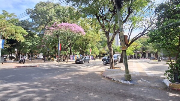 Domingo cálido, con mucha humedad y vientos variables