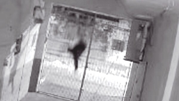 Murió al caer de cabeza del techo de una capilla en la madrugada
