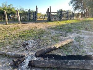 Investigan a un hombre en el Chaco por falsificación de documentos públicos y contrabando de ganado