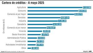 La agricultura, el consumo y el comercio al por mayor lideran créditos por sector económico - Economía - ABC Color