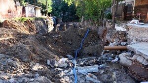 Obras de Nenecho arrasan árboles y amenazan con desalojar a vecinos