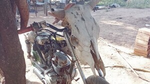 Moto Toro Candil ganó en la categoría del biciclo más feo