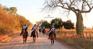 La Nación / Caballos criollos: una raza de alta resistencia y adaptabilidad que crece en el país