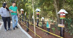 Refugio de Abejas Nativas de ITAIPU ya recibió a cientos de visitantes en Saltos del Guairá