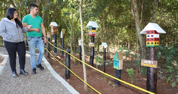 Refugio de Abejas Nativas de ITAIPU ya recibió a cientos de visitantes en Saltos del Guairá