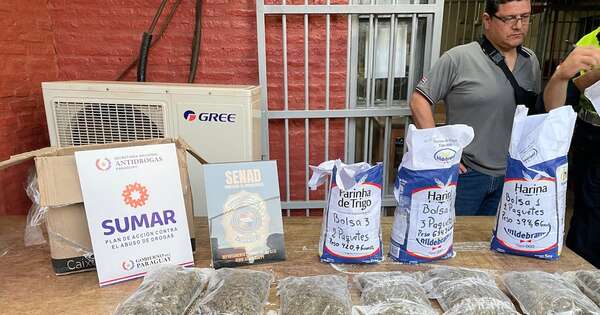 La Nación / Penal de Misiones: detienen a una mujer que intentó introducir droga en paquetes de harina