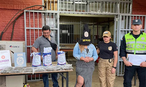 Detienen a mujer que intentó meter marihuana en paquetes de harina en el penal de Misiones - OviedoPress