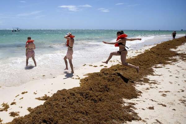 República Dominicana: lucha sin tregua para limpiar de sargazo sus famosas playas - Viajes - ABC Color