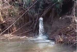 Video: denuncian contaminación de ríos y mortandad de peces en Naranjal - ABC en el Este - ABC Color