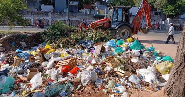 Diario HOY | Retiran 30 toneladas de basura de vertederos clandestinos instalados en avenida capitalina