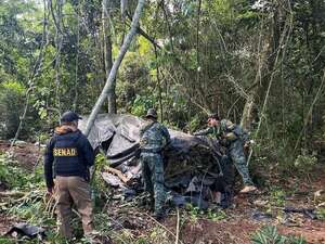 AUDIO: El 25% de la Reserva de Mbaracayú fue destruida por marihuaneros, denuncian - Periodísticamente - ABC Color