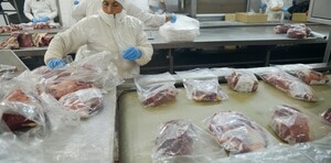 Argentina completó la cuota Hilton con el envío de más de 29.000 toneladas de carne premium