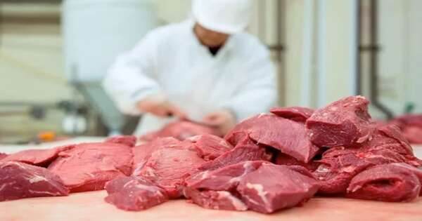 La Nación / Envíos de carne a Estados Unidos crecieron 139 %