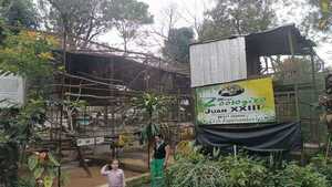 El City Tour de Invierno en Encarnación suma visita al Mini Zoológico Juan XXIII