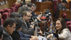 Parlamentarios costarán USD 8 millones este año