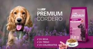 Diario HOY | Llegó el balanceado que le trae alivio a tu perro