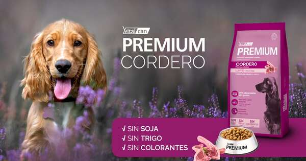 Diario HOY | Llegó el balanceado que le trae alivio a tu perro