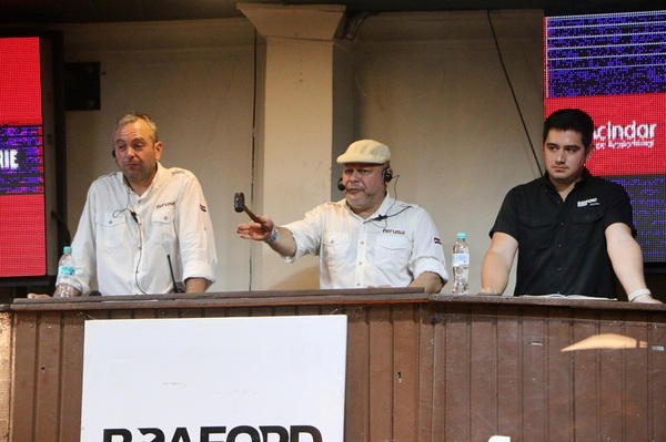 Se vendieron 26 packs de embriones Braford a Gs. 31,6 millones de promedio