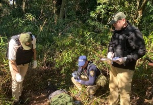 Hallazgo del campamento del EPP en Mbaracayú abre nueva etapa en la lucha contra el grupo armado, afirman - ADN Digital