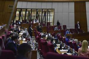 Diputados por ahora salva a Contraloría de “puenteo”, pero cuestionan a Camilo Benítez - Política - ABC Color