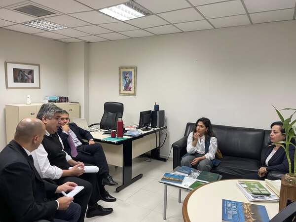 Audiencia con el Director de Medio Ambiente de la Corte Suprema de Justicia, sobre criptominería en Villarrica.