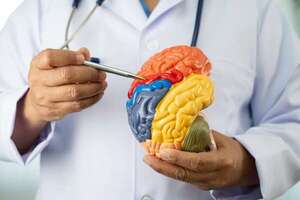 Revelan el mapa proteico que podría anticipar enfermedades neurodegenerativas - Ciencia - ABC Color