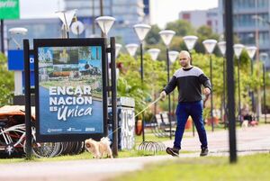 Hoteles, posadas y camping: cómo se prepara Paraguay para el Rally Mundial - .::Agencia IP::.