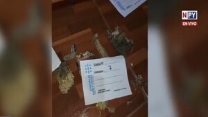 Fiscalía allana nuevamente templo de presunta secta afrobrasileña