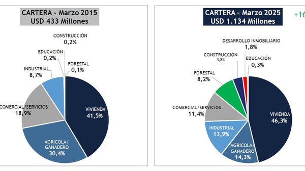 AFD diversifica su cartera y prioriza mipymes y mujeres