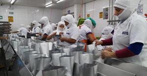 Importaciones bajo Materia Prima superan los USD 270 millones en el primer semestre